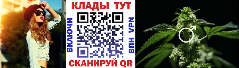 Где купить наркотики Полярные Зори Амфетамин  Альфа ПВП  Гашиш  Конопля  КЕТАМИН  OMG ТОР  МЕФ  КОКАИН 