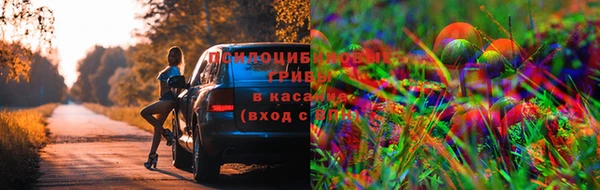 крисы Балабаново